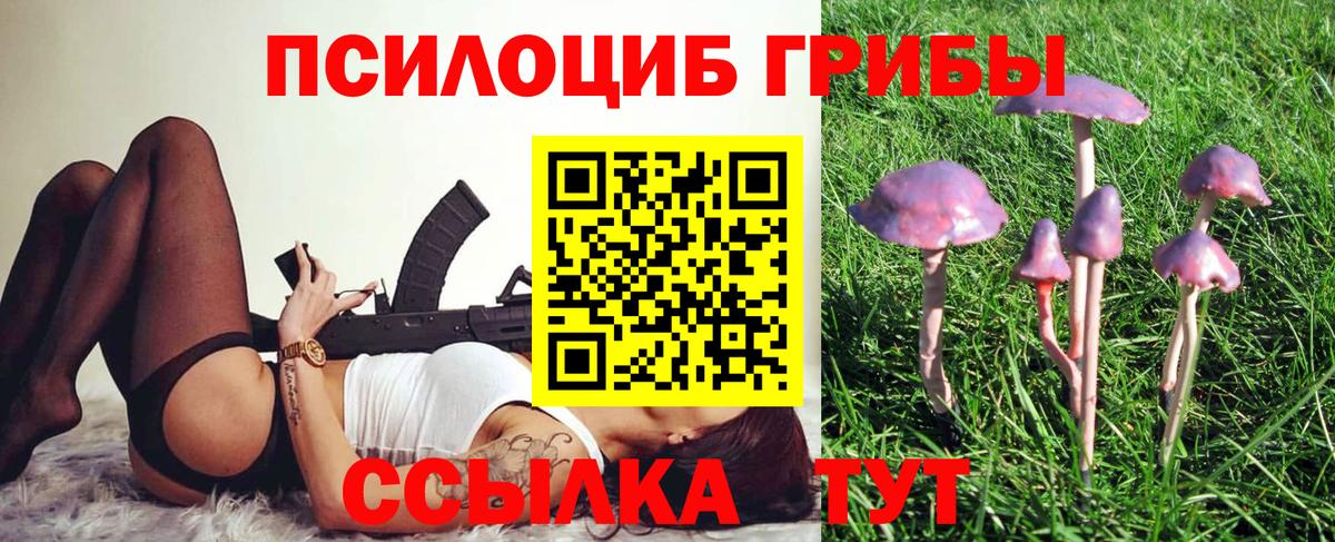 МЕФ Златоуст