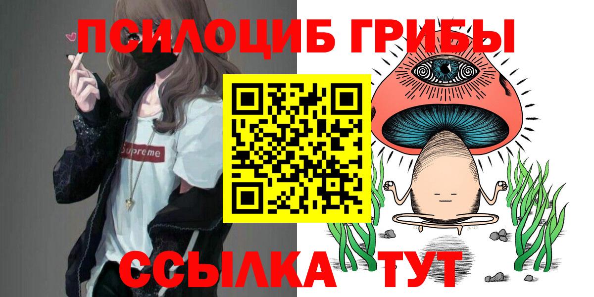 Псилоцибиновые грибы GOLDEN TEACHER  Вход с VPN  Златоуст 